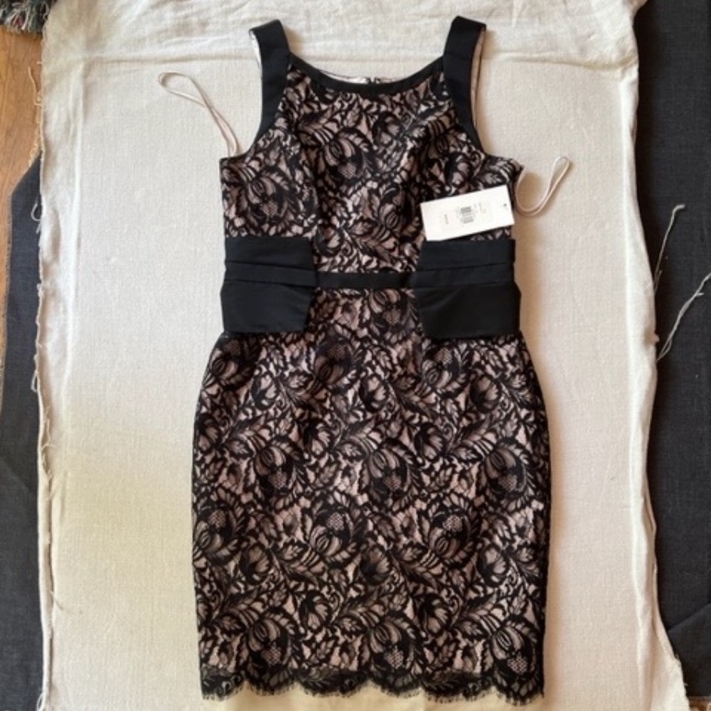 Lace Cocktail Dress by Theia